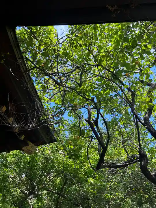 牛天神北野神社(東京都)