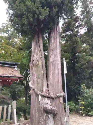 八幡神社(岐阜県)