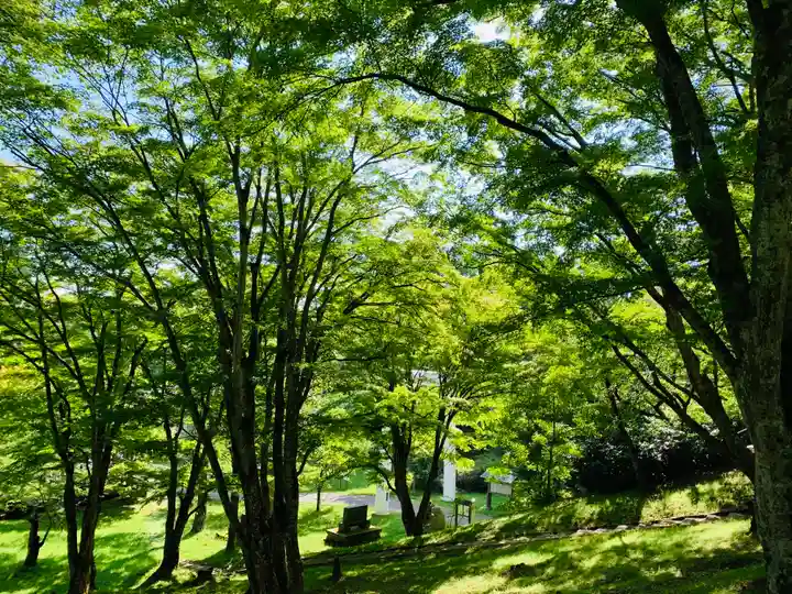 土津神社|こどもと出世の神さまの景色