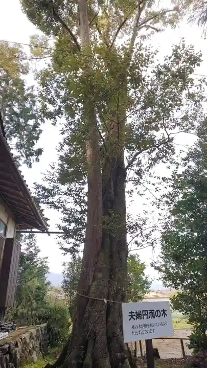 小野神社の自然