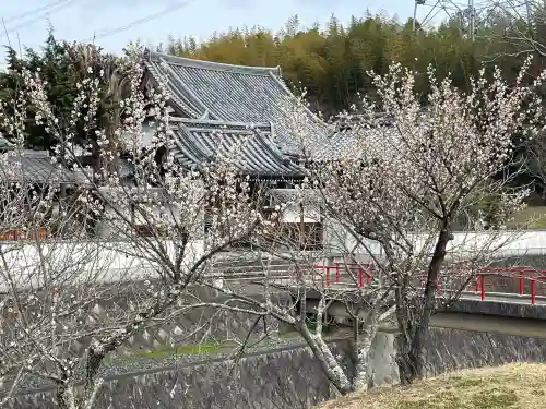 永福寺の{uncategorized: "未分類", other: "その他", undefined: "問題あり", building: "その他建物", grave: "お墓", sacred_gate: "鳥居", guardian: "狛犬", statue: "像", buddha: "仏像", history: "歴史", nature: "自然", garden: "庭園", animal: "動物", pagoda: "塔", temizu: "手水舎", mountain_gate: "山門・神門", sanctuary: "本殿・本堂", subordinate: "末社・摂社", art: "芸術", scenery: "景色", jizo: "地蔵", ema: "絵馬", goshuin: "御朱印", omikuji: "おみくじ", items: "授与品その他", amulet: "お守り", goshuincho: "御朱印帳", eats: "食事", festival: "お祭り", votive_dance: "神楽", shichigosan: "七五三参", wedding: "結婚式", experience: "体験その他", initially: "初詣", around: "周辺", anti_infection: "感染症対策"}