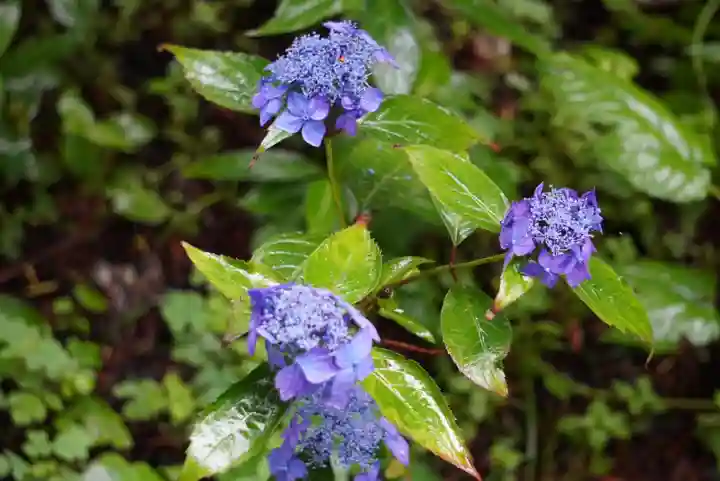 尻岸内八幡神社の景色
