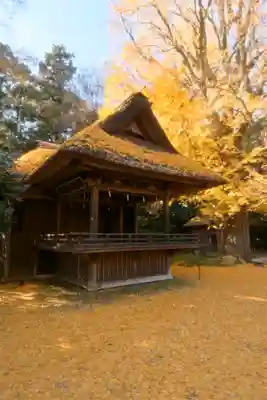 玉敷神社(埼玉県)