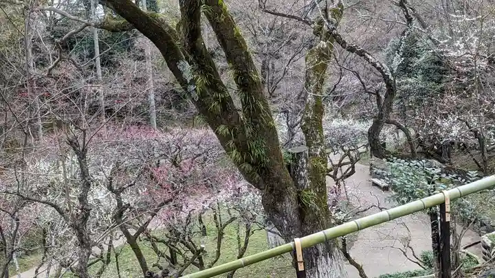 北野天満宮(京都府)