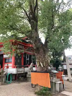 我堂八幡宮(大阪府)