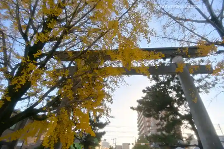 葛飾八幡宮(千葉県)