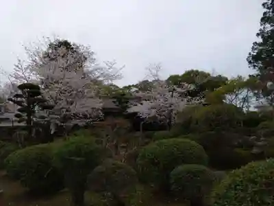 本妙寺(熊本県)