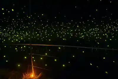 木舟山　順教寺(広島県)