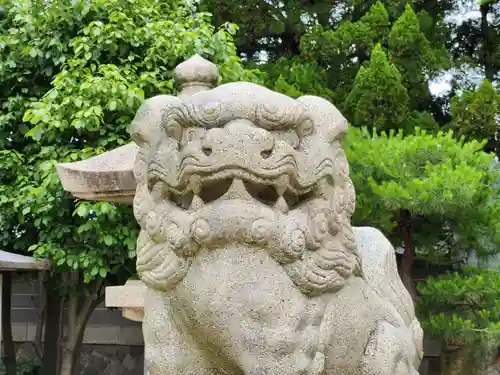 荒井神社の狛犬