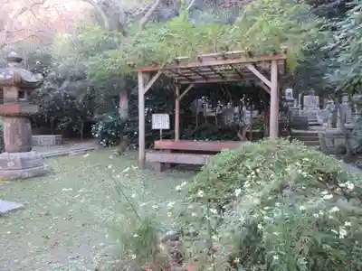 安國論寺（安国論寺）の自然