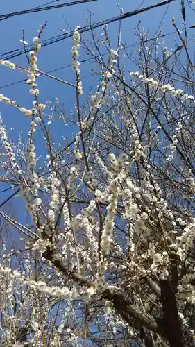 酒門神社の自然
