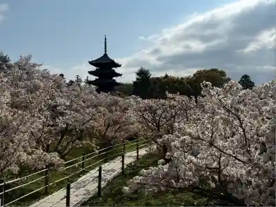仁和寺(京都府)