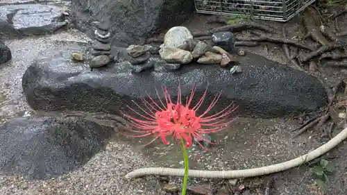 全興寺(大阪府)