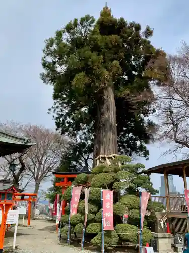 愛宕神社(宮城県)