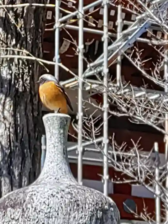 東身延藻原寺(千葉県)
