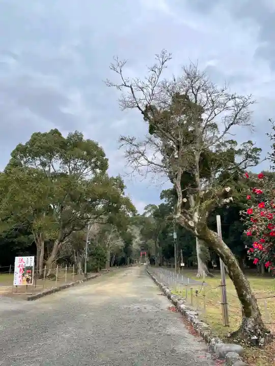 宇佐神宮の{uncategorized: "未分類", other: "その他", undefined: "問題あり", building: "その他建物", grave: "お墓", sacred_gate: "鳥居", guardian: "狛犬", statue: "像", buddha: "仏像", history: "歴史", nature: "自然", garden: "庭園", animal: "動物", pagoda: "塔", temizu: "手水舎", mountain_gate: "山門・神門", sanctuary: "本殿・本堂", subordinate: "末社・摂社", art: "芸術", scenery: "景色", jizo: "地蔵", ema: "絵馬", goshuin: "御朱印", omikuji: "おみくじ", items: "授与品その他", amulet: "お守り", goshuincho: "御朱印帳", eats: "食事", festival: "お祭り", votive_dance: "神楽", shichigosan: "七五三参", wedding: "結婚式", experience: "体験その他", initially: "初詣", around: "周辺", anti_infection: "感染症対策"}