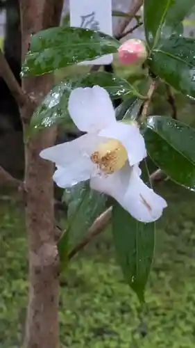 城南宮(京都府)