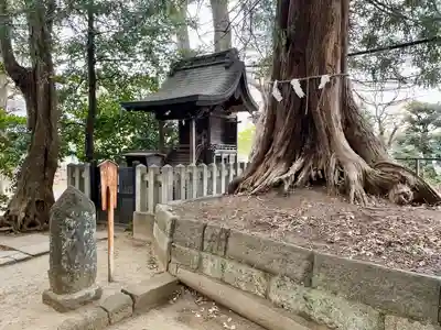 諏訪神社(東京都)