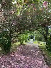 三日月神社の自然