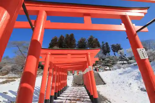 高屋敷稲荷神社の鳥居