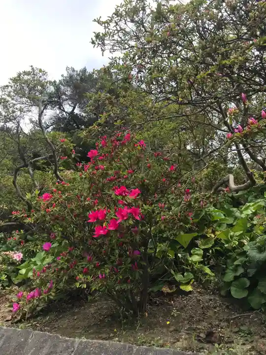 安養院 (田代寺)の自然