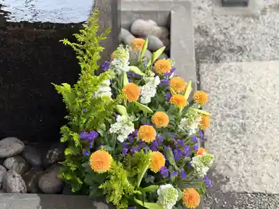 上尾御嶽神社の手水舎