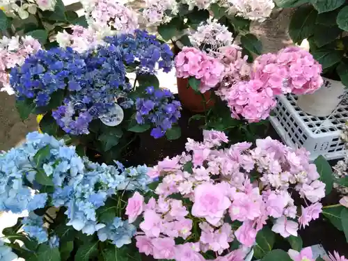 筥崎宮(福岡県)