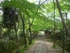 金剛輪寺(滋賀県)