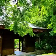 普門寺(切り絵御朱印発祥の寺)の山門