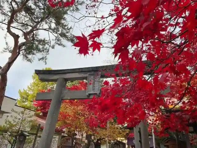 彌彦神社 (伊夜日子神社)の鳥居