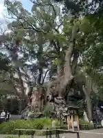 來宮神社の{uncategorized: "未分類", other: "その他", undefined: "問題あり", building: "その他建物", grave: "お墓", sacred_gate: "鳥居", guardian: "狛犬", statue: "像", buddha: "仏像", history: "歴史", nature: "自然", garden: "庭園", animal: "動物", pagoda: "塔", temizu: "手水舎", mountain_gate: "山門・神門", sanctuary: "本殿・本堂", subordinate: "末社・摂社", art: "芸術", scenery: "景色", jizo: "地蔵", ema: "絵馬", goshuin: "御朱印", omikuji: "おみくじ", items: "授与品その他", amulet: "お守り", goshuincho: "御朱印帳", eats: "食事", festival: "お祭り", votive_dance: "神楽", shichigosan: "七五三参", wedding: "結婚式", experience: "体験その他", initially: "初詣", around: "周辺", anti_infection: "感染症対策"}