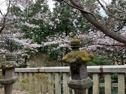 吉備津神社の自然