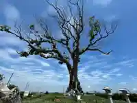 大木神社跡地(三重県)