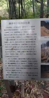 勝持寺（花の寺）のその他建物