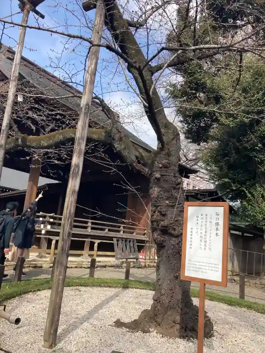 靖國神社(東京都)