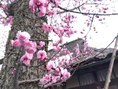 神明社(福井県)
