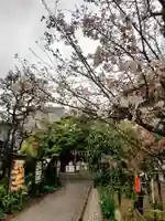 鳩森八幡神社の自然