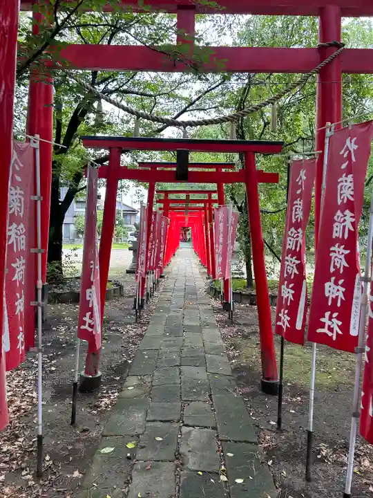 於菊稲荷神社の鳥居