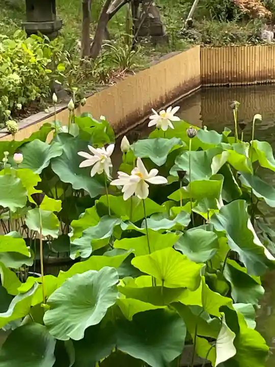 生田神社(兵庫県)