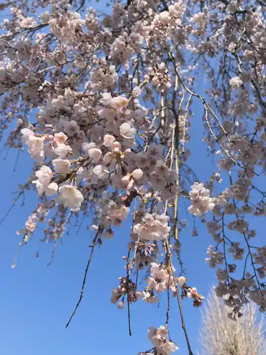 高司神社〜むすびの神の鎮まる社〜(福島県)