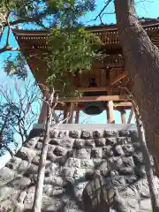 浅草寺の建物その他