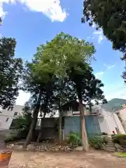 初鹿野諏訪神社(山梨県)