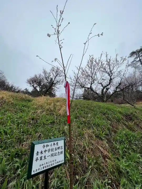 国宝 大法寺(長野県)
