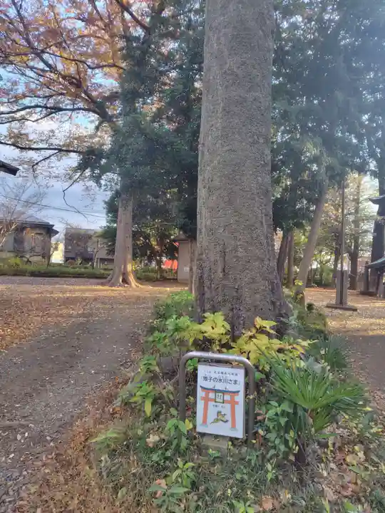 大谷場氷川神社(埼玉県)