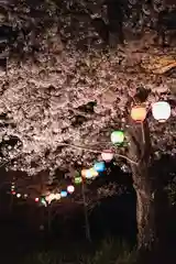 川田八幡神社の自然