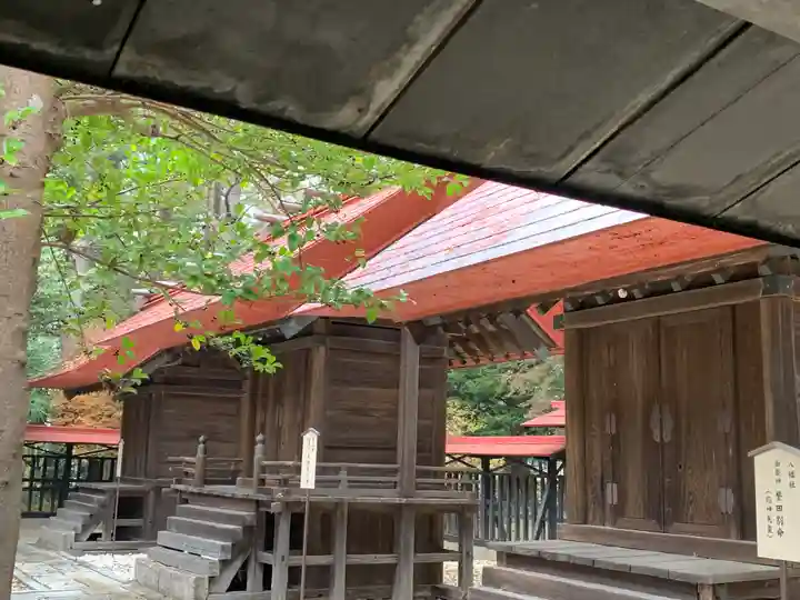 塚崎神明社(千葉県)