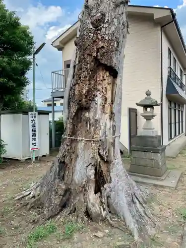 菅原神社(埼玉県)