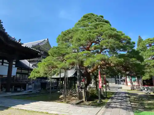 善光寺大勧進のその他建物