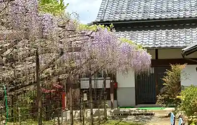 正法寺(滋賀県)