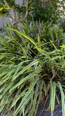 一念寺(京都府)